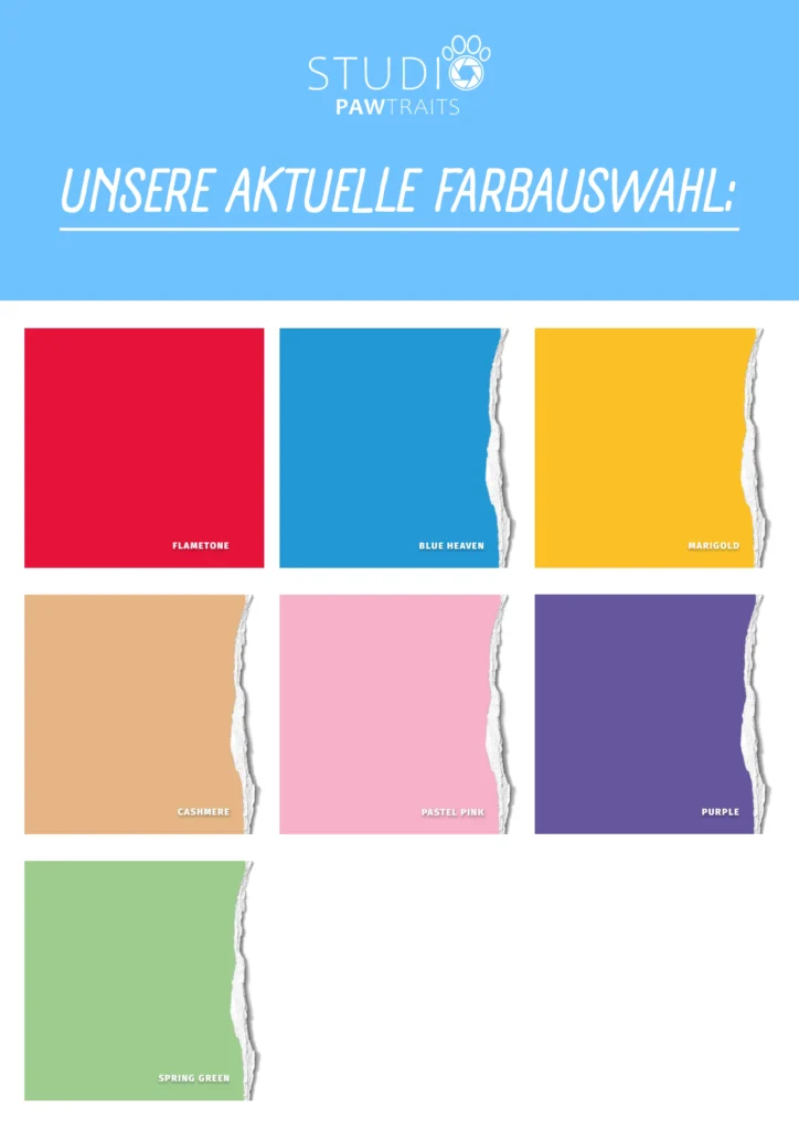 hundeporträts wien hintergründe